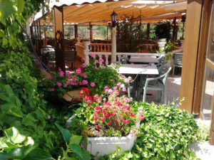 MESON RANCHO BLANCO DE TORREVIEJA, DESDE 1975