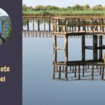 VIVIMOS EL «SABOR QUIJOTE» EN DAIMIEL