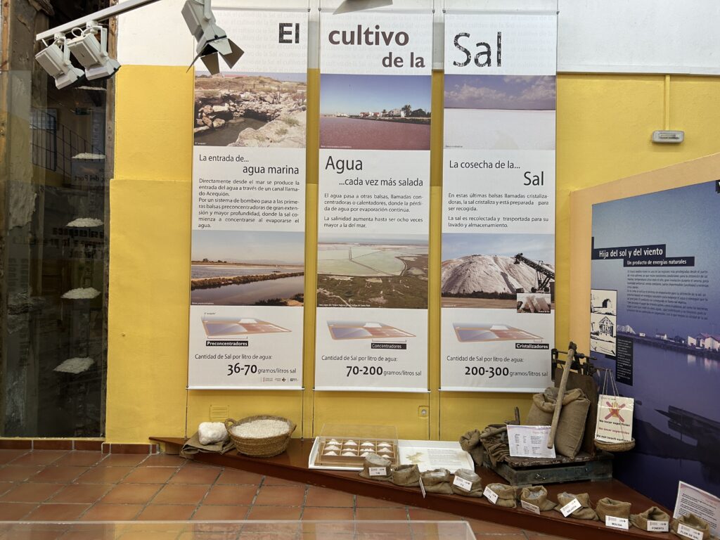 El cultivo de la sal