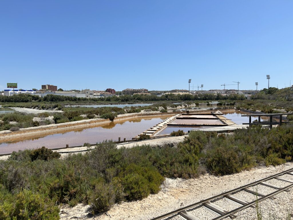 Proyecto artemia