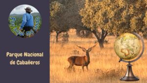 SORPRENDENTE EXPERIENCIA EN EL PARQUE NACIONAL DE CABAÑEROS