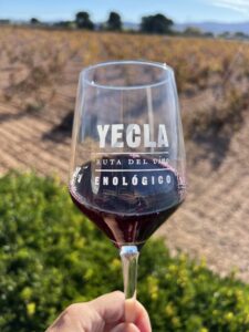 SABORES DE YECLA: UN MARATÓN ENTRE VINOS Y TRADICIÓN