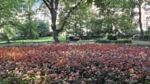 CRACOVIA, UNA ESCAPADA SORPRENDENTE